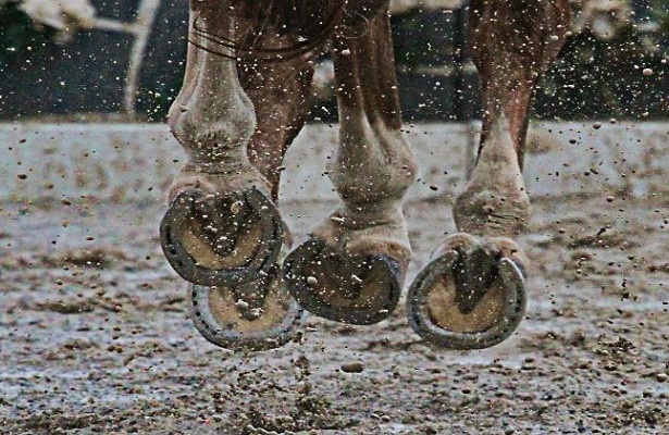 В Хакасии задержали группу браконьеров на конях