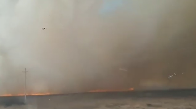 В Красноярском крае уже горит трава