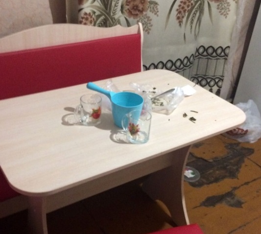 В Абакане горе-мамаша морила детей голодом