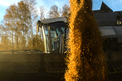 Российская пшеница упала в цене