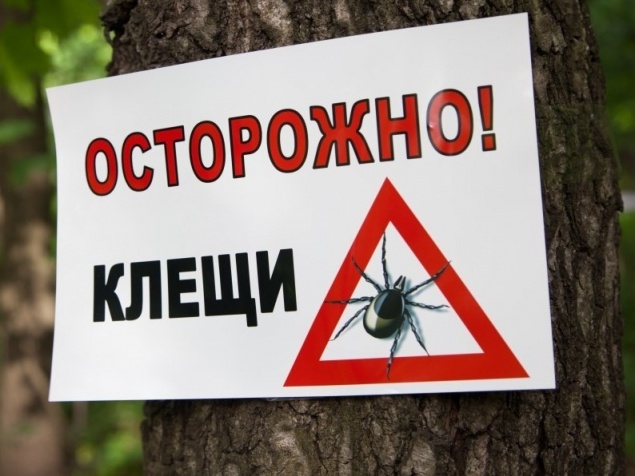 Осторожно, клещи! Неблагоприятные погодные условия отодвигают сроки противоклещевой спецобработки