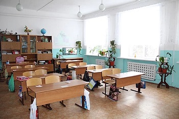 Сельскую школу возле Ачинска оштрафовали за мышей, мух и птиц на чердаке