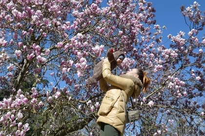 В России отменят бумажные сертификаты на маткапитал