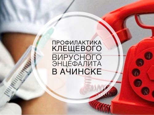 Профилактика клещевого вирусного энцефалита: горячие телефонные линии в Ачинске