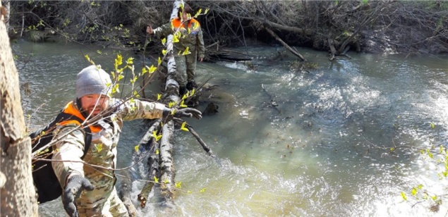 В Красноярском крае пропал мужчина. Волонтеры прочесывают лес и ручьи