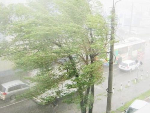 Объявлено штормовое предупреждение на 31.05.2019: ожидаются ветер, град, грозы