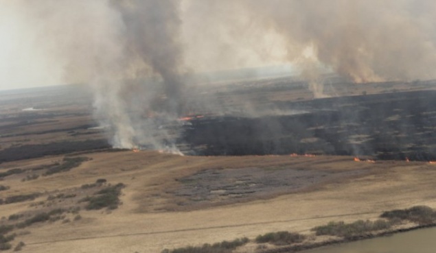 Дым от красноярских лесных пожаров добрался до Урала и Поволжья