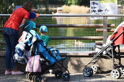 Программу маткапитала задумали сделать бессрочной