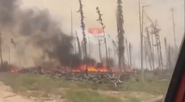 Масштабные пожары в Сибири попали на видео