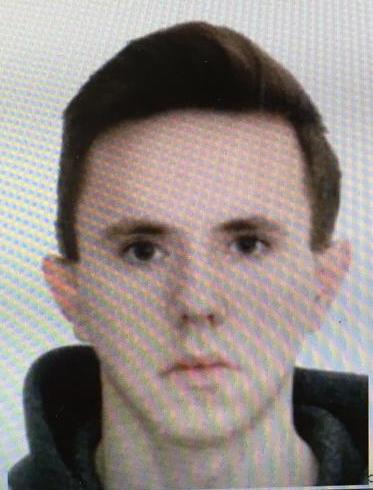 Полицейские предлагают добровольно сдаться подозреваемому в кражах