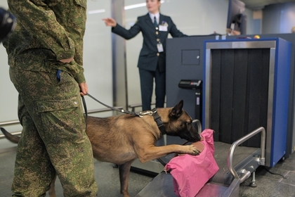 В России ужесточили правила провоза багажа через границу