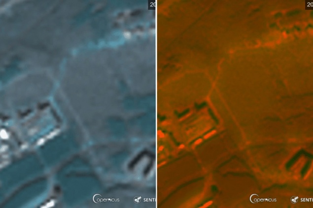 Красноярские ученые создают нейросеть, которая поможет восстановить леса Сибири