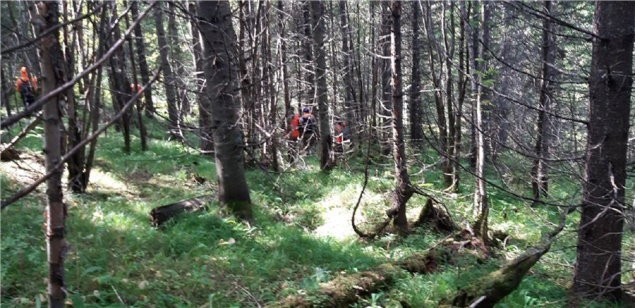 «Увы, мы не успели»: волонтеры нашли мертвым пропавшего под Красноярском дедушку-грибника