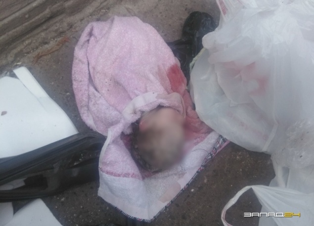 В Абакане дворник нашел за мусорным баком тело новорожденного