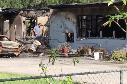 Собака спасла хозяев от пожара и сгорела заживо