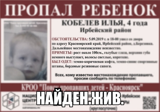 Красноярские волонтёры сообщили о прекращении поисков 4-летнего пропавшего мальчика