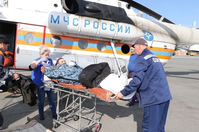 Молодой красноярец упал с 18-метрового кедра во время сбора орехов и выжил