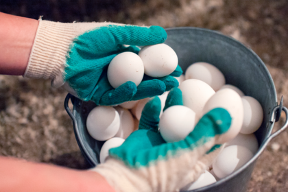 Названы запрещенные к мытью продукты