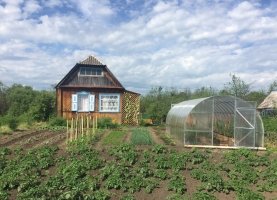 29 садоводческих товариществ Красноярского края получили деньги на развитие