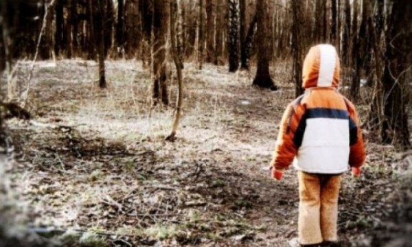 Красноярский край вошел в топ регионов по пропаже детей