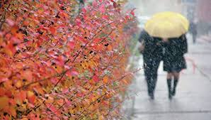 Новая неделя в Красноярске начнется с аномального тепла. Оно задержится ненадолго