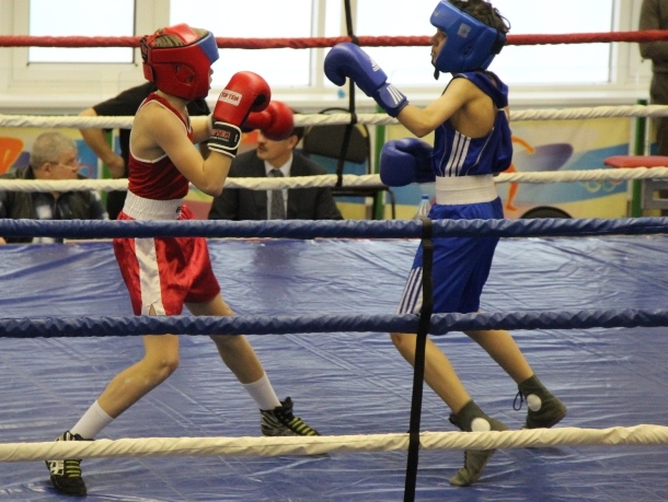 В Ачинске выберут «лучшего боксера» Красноярского края