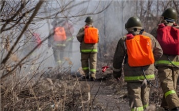Жители Красноярского края снова начали поджигать сухую траву