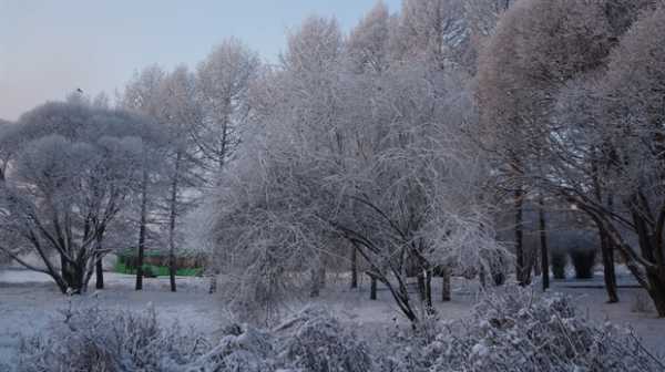 На неделе в Красноярске потеплеет. А потом еще раз и сильнее