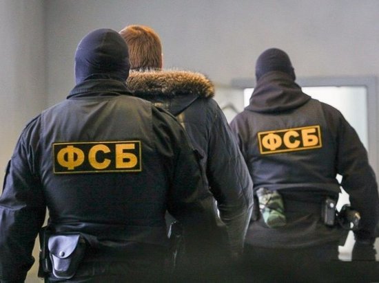 В министерстве лесного хозяйства Красноярского края прошли обыски