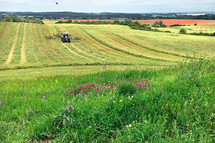 Названо опасное для человечества явление