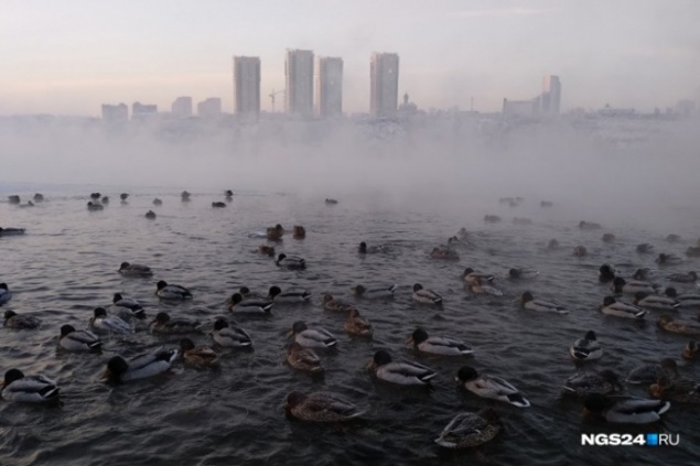 Синоптики дали прогноз на месяц: в середине ноября в Красноярске похолодает до –20