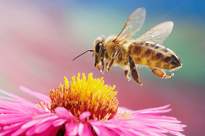 Пересмотрен ход эволюции в истории Земли