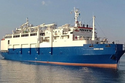 В Черном море утонули 14 тысяч овец