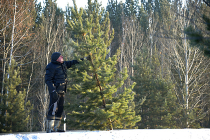 Выходной 31 декабря объявили в еще одном регионе России