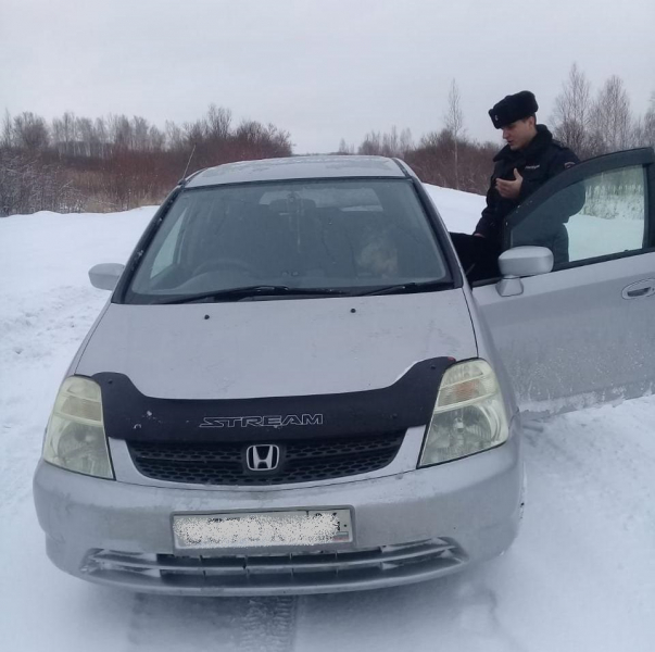В Красноярском крае поймали браконьера с разделанной тушей краснокнижного лося в машине