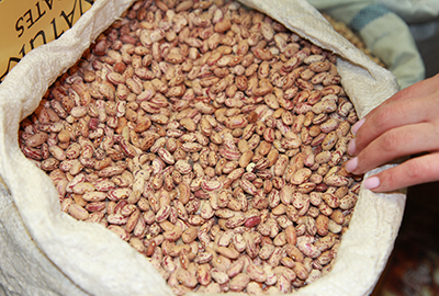 В Красноярске продавали заражённые бобовые