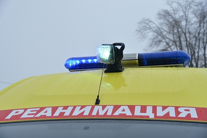 Первоклассница поиграла с кошкой и умерла