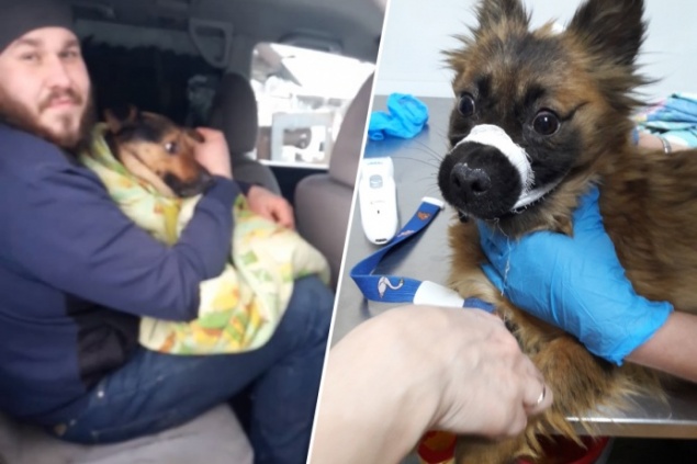 Спасшей животных из замурованного дома девушке вменяют нарушения неприкосновенности жилища