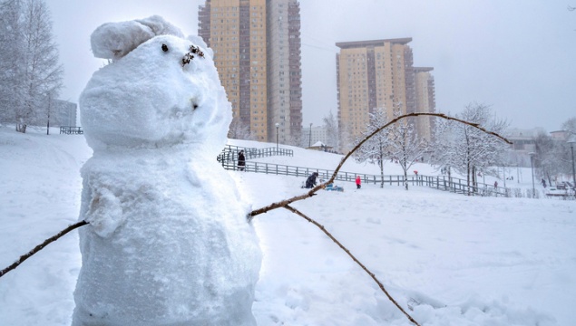 Красноярский край попал в зону аномального тепла