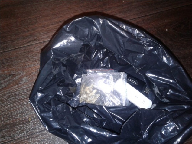 Двое красноярцев могут навсегда лишиться свободы за продажу «волшебных» грибов