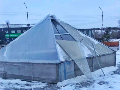 Общественное порицание может защитить скверы и парки от хулиганских разрушений