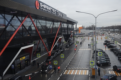 Стала известна судьба брошенных в Шереметьево детей