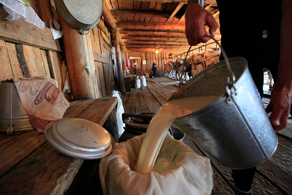 В России подорожают мясо и молоко