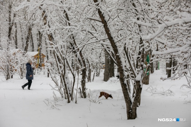 В Красноярске ожидаются очень теплые выходные: в воскресенье почти весна