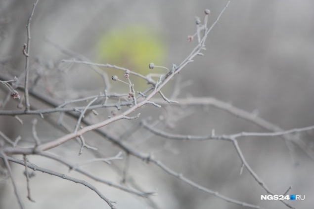 Синоптики пообещали красноярцам 30-градусные морозы в марте