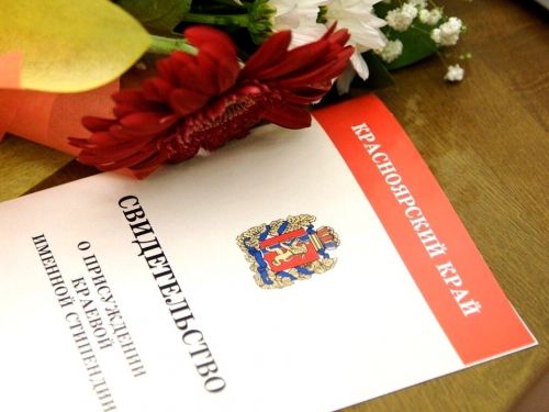 Успешны в учёбе и талантливы в спорте: пятеро школьников Ачинска получат почётные краевые стипендии