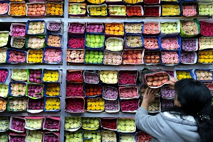 Россиянки назвали желаемые подарки на 8 марта