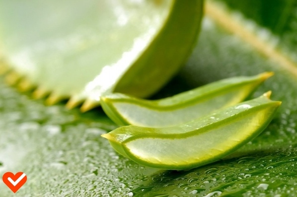 Алoэ