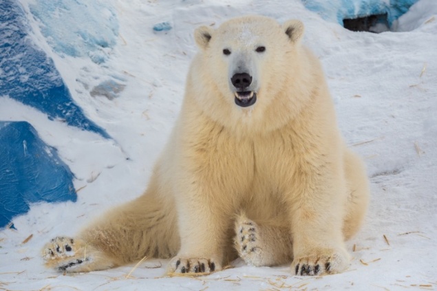 «Роев ручей» закрывает часть экспозиций и в два раза снижает цены на билет