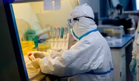 В 26 регионах России объявили полную самоизоляцию